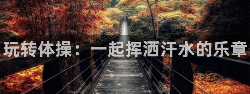 3377体育官网下载招商电话号码：玩转体操：一起挥洒