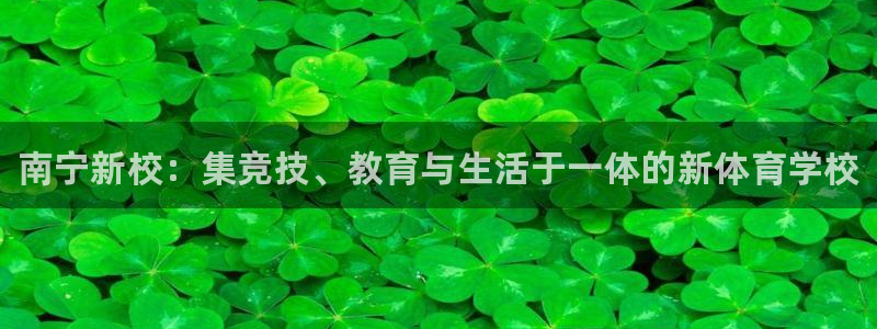 海南3377体育官网下载发展怎么样：南宁新校：集竞技、教育与