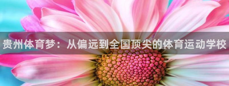3377体育官网下载是干嘛的公司：贵州体育梦：从偏远