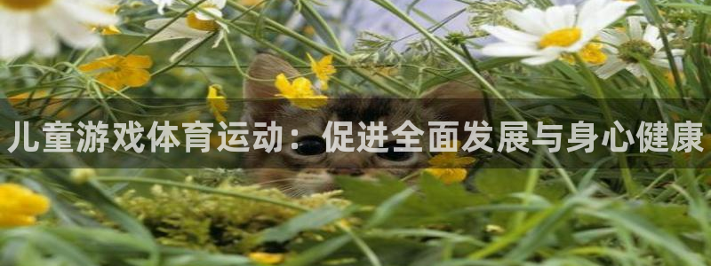 3377体育官网下载招商电话是多少号码：儿童游戏体育