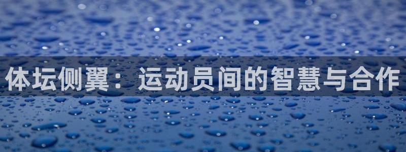 3377体育官网下载平台注册要钱吗：体坛侧翼：运动员