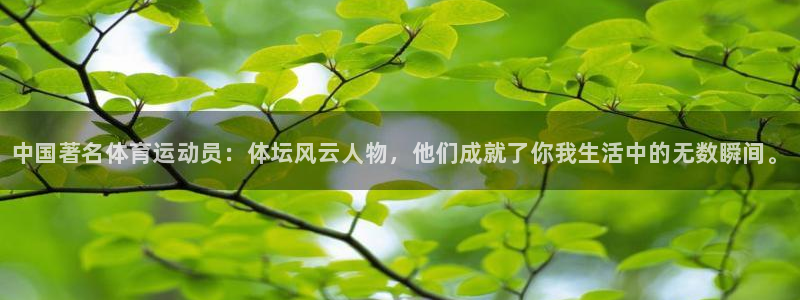 3377体育官方正版app开户：中国著名体育运动员：