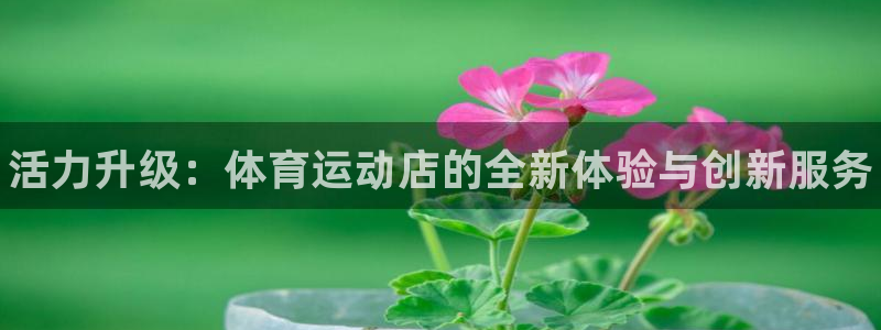 3377体育官方正版app娱乐代理怎么样：活力升级：