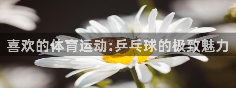 3377体育官方正版app娱乐是那个系列的台子：喜欢的体育运
