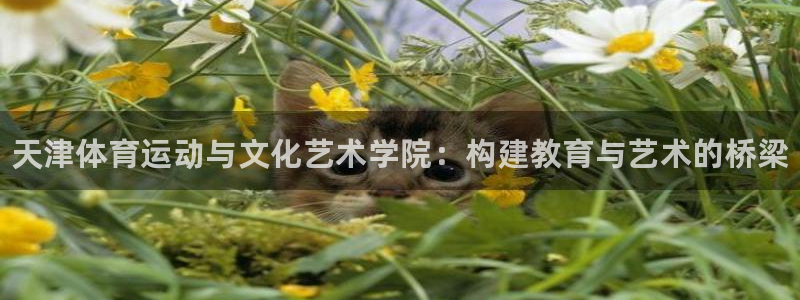 3377体育官方正版app新能源：天津体育运动与文化艺术学院