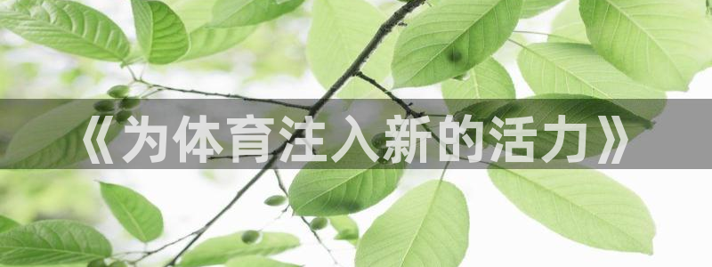 3377体育官网下载注册：《为体育注入新的活力》
