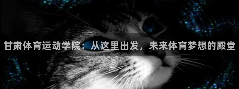 3377体育官方正版app集团logo