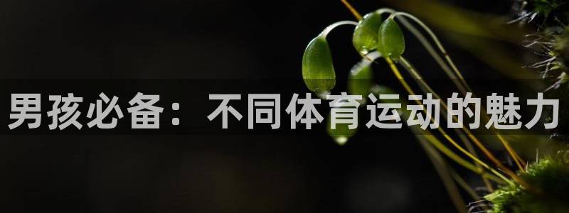3377体育官方正版app开户：男孩必备：不同体育运