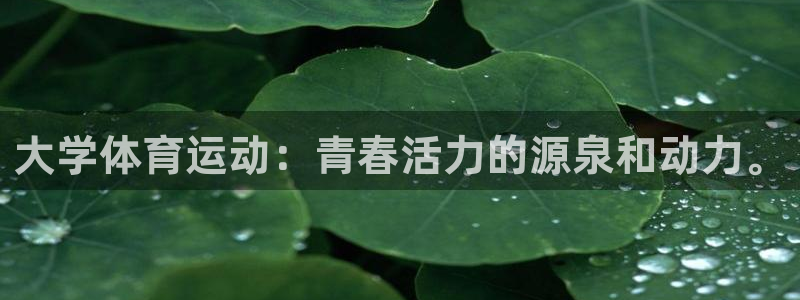 3377体育官方正版app新能源：大学体育运动：青春