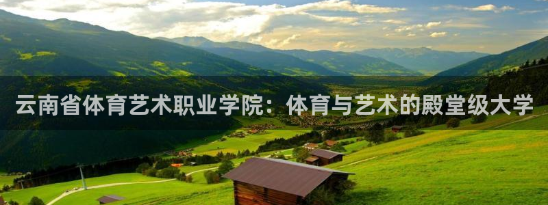 3377体育官方正版app开户
