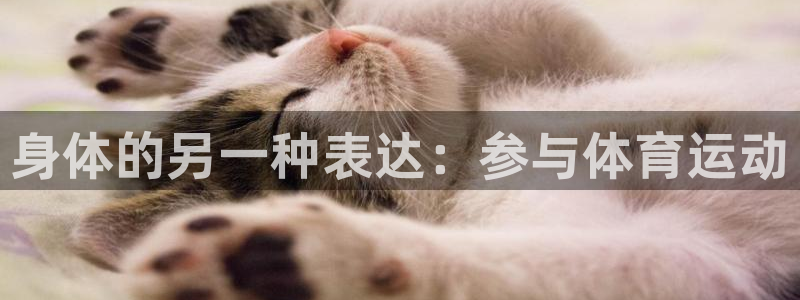 3377体育官网下载平台注册要钱吗：身体的另一种表达