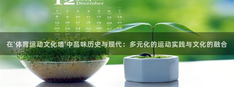 3377体育官方正版app官网
