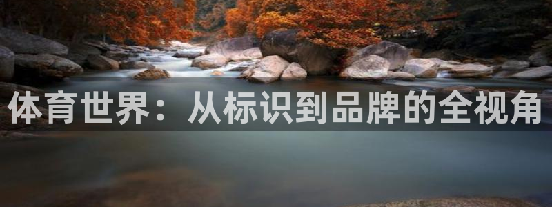 3377体育官方正版app集团E.ON：体育世界：从