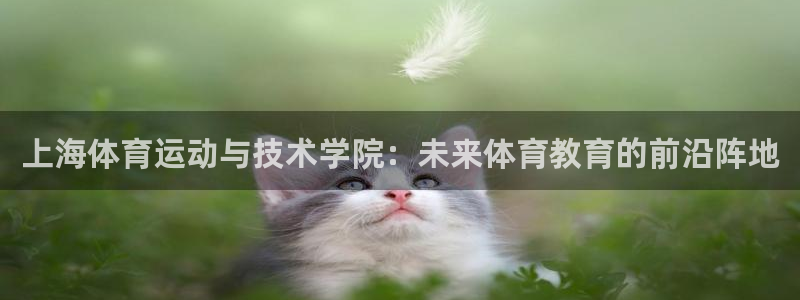 3377体育官方正版app娱乐首页官网下载：上海体育运动与技