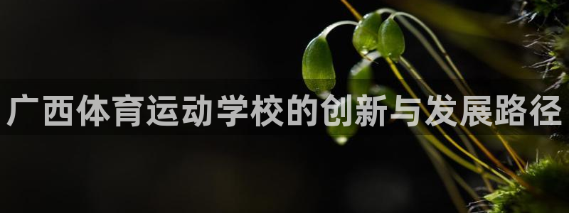 3377体育官方正版app五金厂