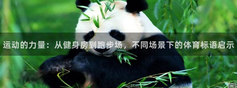 3377体育官网下载招商电话号码是多少号：运动的力量：从健身