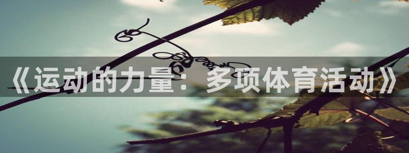 3377体育官网下载平台是正规平台吗：《运动的力量：多项体育