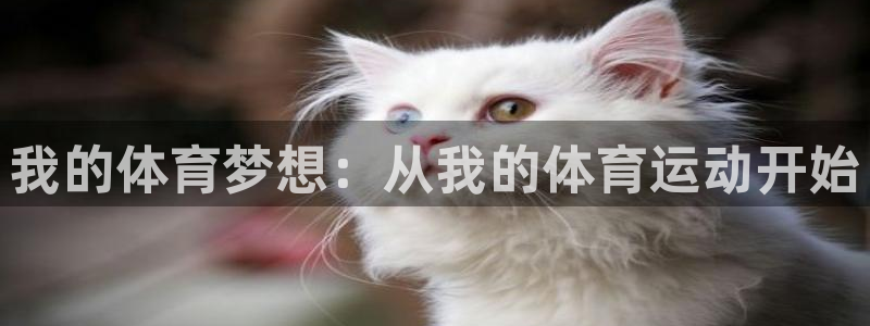 3377体育官网下载平台是正规平台吗