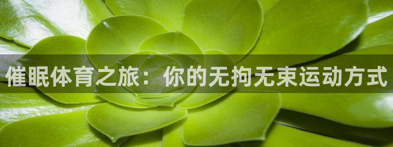 3377体育官方正版app官方：催眠体育之旅：你的无拘无束运