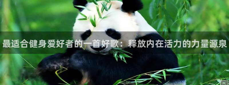 3377体育官网下载：最适合健身爱好者的一首好歌：释放内在活