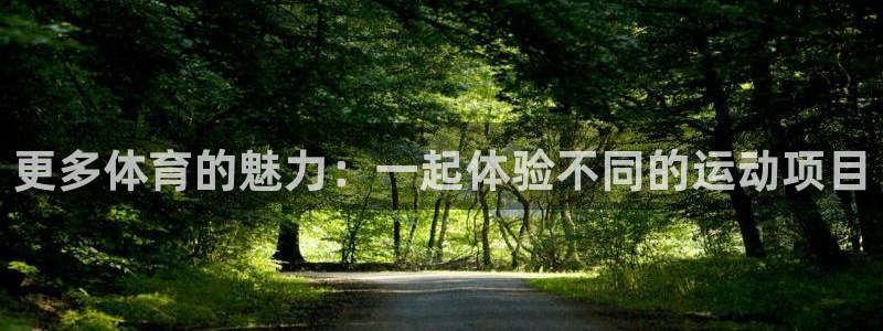 3377体育官方正版app集团官网首页：更多体育的魅