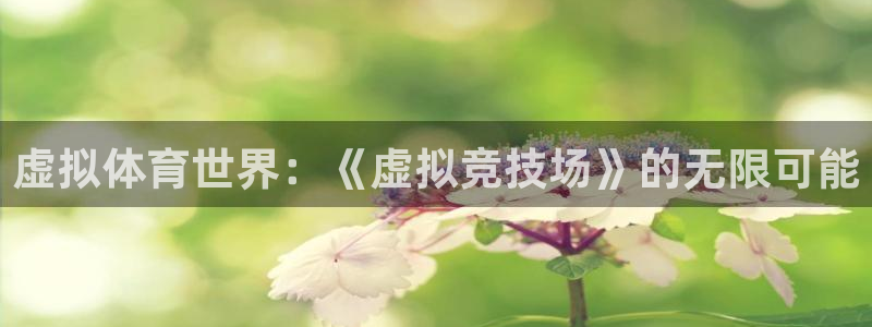 3377体育官方正版app集团官网首页：虚拟体育世界