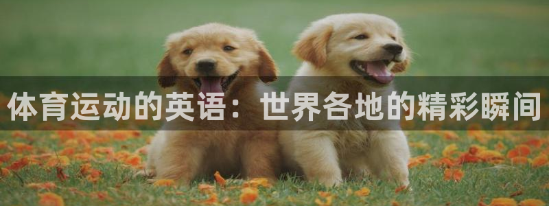 3377体育官方正版app娱乐首页网站大全：体育运动的英语：