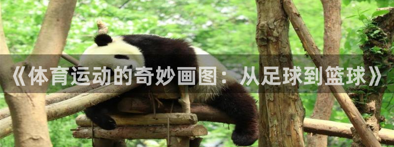 3377体育官方正版app官方：《体育运动的奇妙画图：从足球