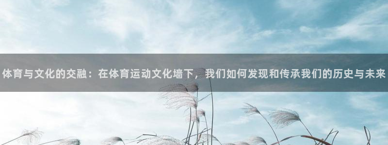 注册3377体育官方正版app：体育与文化的交融：在