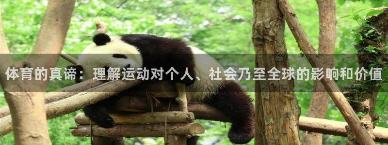 3377体育官网下载招商电话：体育的真谛：理解运动对个人、社