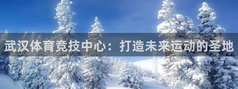 3377体育官网下载招商电话号码：武汉体育竞技中心：打造未来
