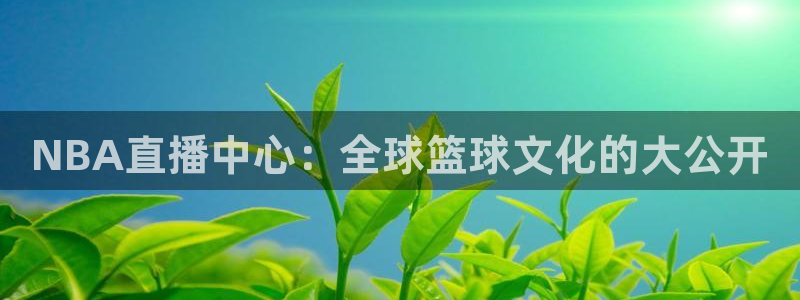 qy球友会体育网站