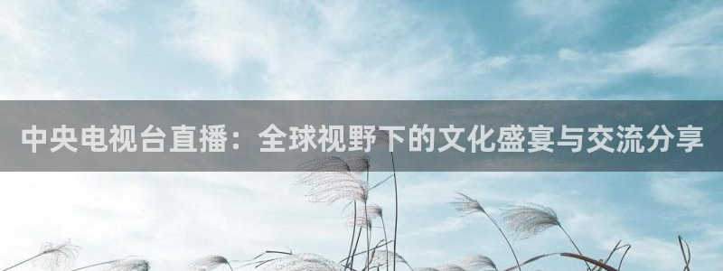 nba直播球友直播：中央电视台直播：全球视野下的文化盛宴与交流分享