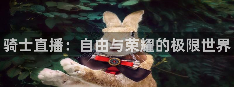 nba球友直播：骑士直播：自由与荣耀的极限世界