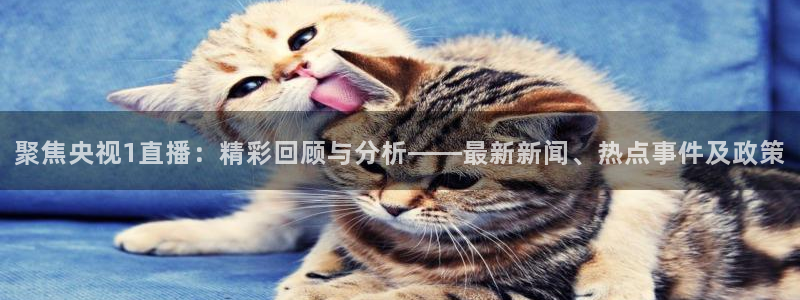 球友体育app免费看球