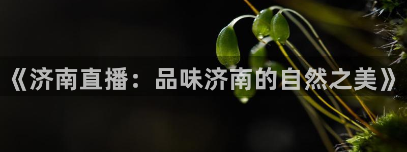 球友会直播：《济南直播：品味济南的自然之美》
